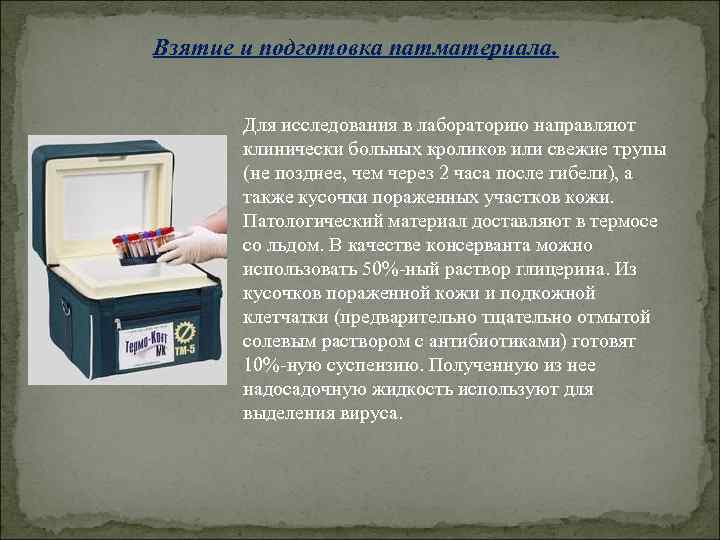 Взятие и подготовка патматериала. Для исследования в лабораторию направляют клинически больных кроликов или свежие