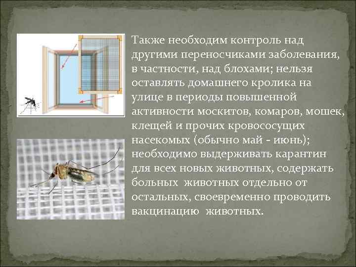 Также необходим контроль над другими переносчиками заболевания, в частности, над блохами; нельзя оставлять домашнего