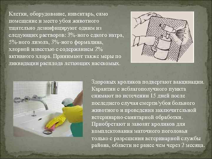 Клетки, оборудование, инвентарь, само помещение и место убоя животного тщательно дезинфицируют одним из следующих