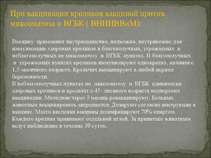 При вакцинации кроликов вакциной против миксоматоза и ВГБК ( ВНИИВВи. М): Вакцину применяют внутримышечно,