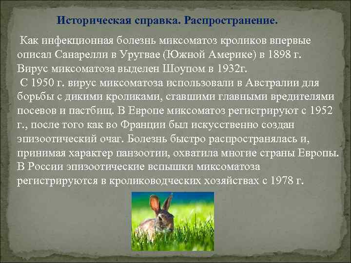 Историческая справка. Распространение. Как инфекционная болезнь миксоматоз кроликов впервые описал Санарелли в Уругвае (Южной