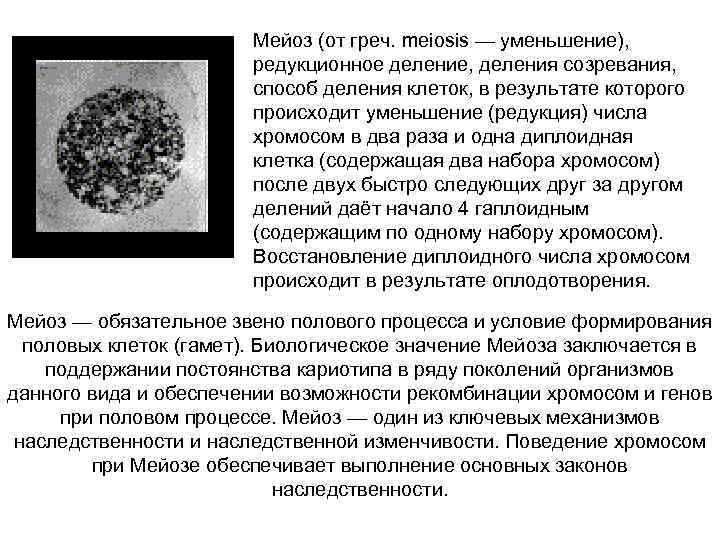 Мейоз (от греч. meiosis — уменьшение), редукционное деление, деления созревания, способ деления клеток, в