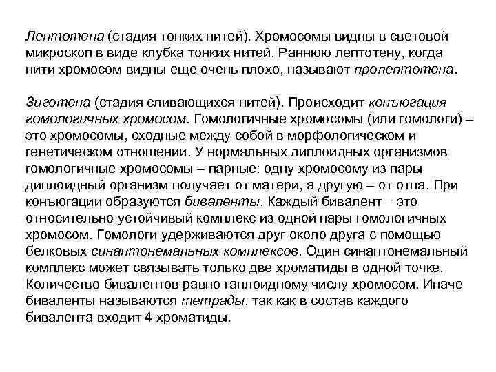 Лептотена (стадия тонких нитей). Хромосомы видны в световой микроскоп в виде клубка тонких нитей.