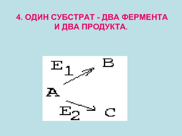 4. ОДИН СУБСТРАТ - ДВА ФЕРМЕНТА И ДВА ПРОДУКТА. 