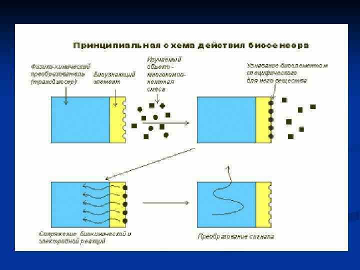 Биохимическое действие тока. Биосенсор схема. Биосенсор структурная схема. Биосенсор строение. Принцип работы биосенсора.