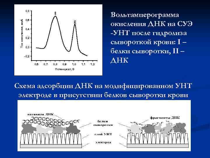Ток окисления, мк. А 0, 8 I 0, 6 II 0, 4 0, 2