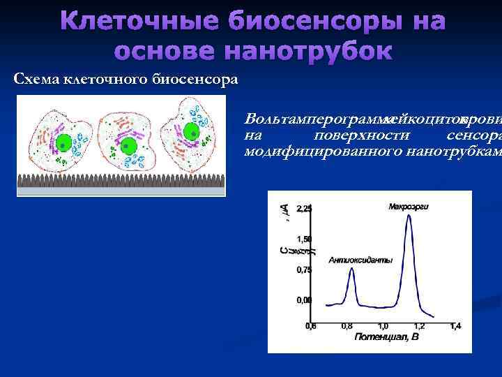 Как колоть биоревитализацию схема