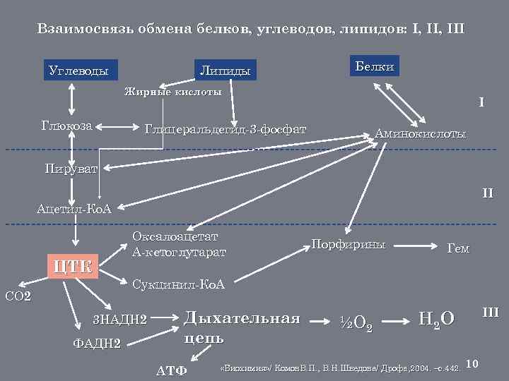 Взаимосвязь обмена углеводов и липидов