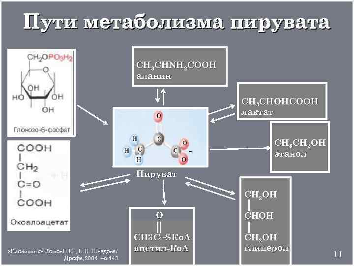 Биохимический путь