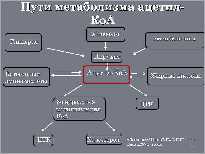 Пути метаболизма ацетил. Ко. А Углеводы Аминокислоты Глицерол Пируват Кетогенные аминокислоты Ацетил-Ко. А 3