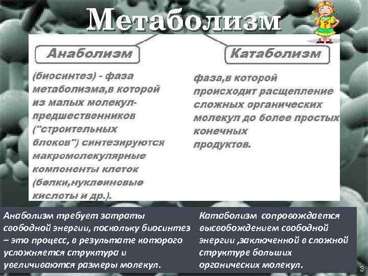 Метаболизм Анаболизм требует затраты свободной энергии, поскольку биосинтез – это процесс, в результате которого