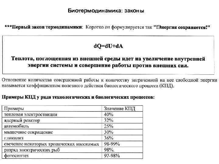 Биотермодинамика: законы 