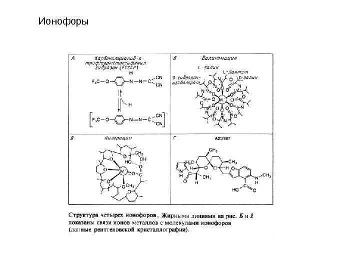 Имеет 4 структуры. Ионофоры структура и механизм функционирования. Ионофоры механизм действия. Ионофоры биохимия. Ионофор строение.