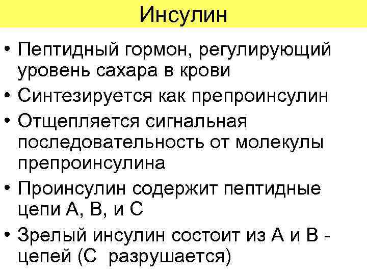 Инсулин • Пептидный гормон, регулирующий уровень сахара в крови • Синтезируется как препроинсулин •