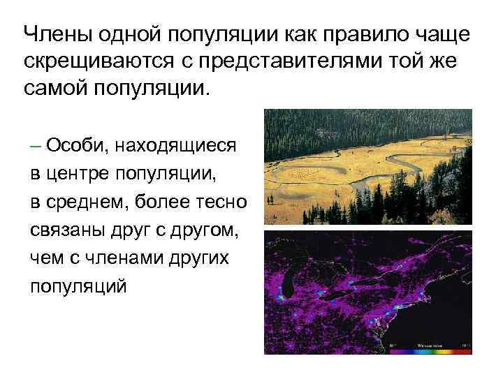 Члены одной популяции как правило чаще скрещиваются с представителями той же самой популяции. –