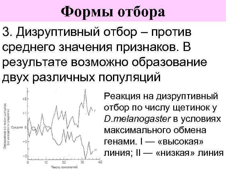 Формы отбора 3. Дизруптивный отбор – против среднего значения признаков. В результате возможно образование