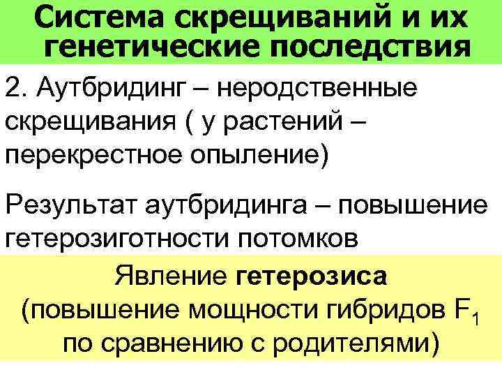 Система скрещиваний и их генетические последствия 2. Аутбридинг – неродственные скрещивания ( у растений