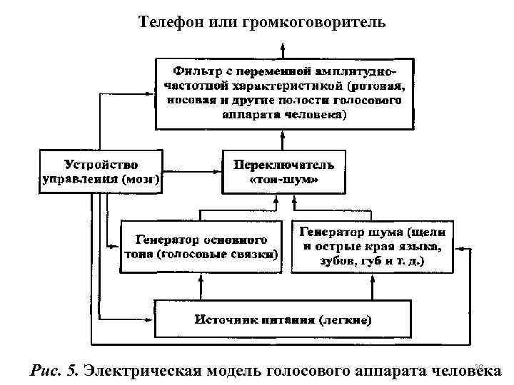Телефон или громкоговоритель 20 Рис. 5. Электрическая модель голосового аппарата человека 