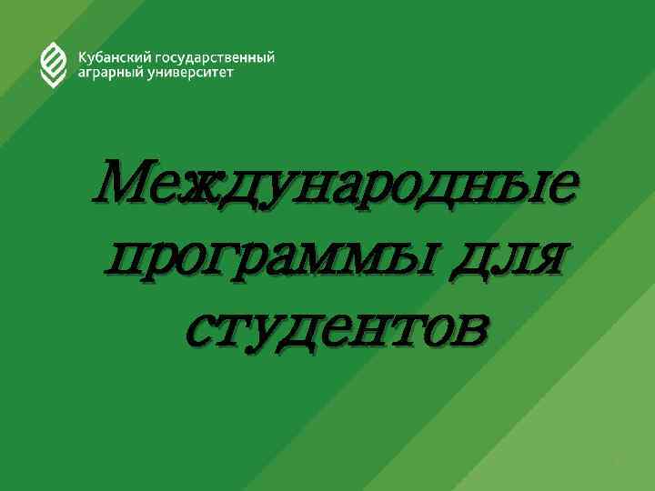 Международные программы для студентов 1 