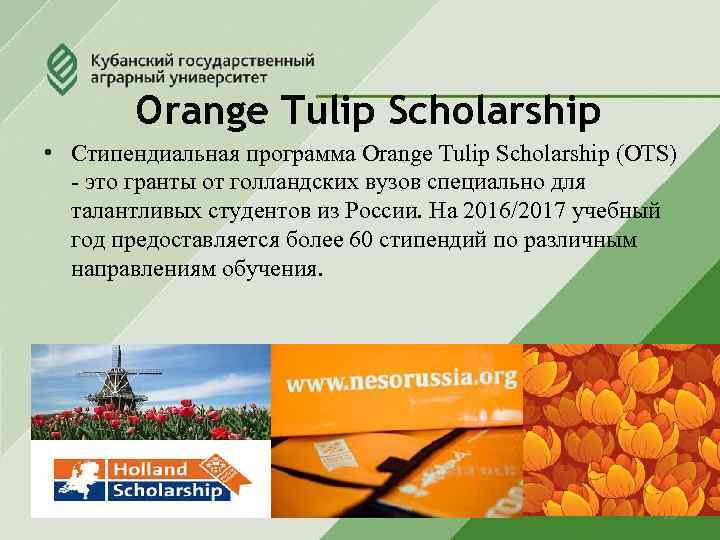 Orange Tulip Scholarship • Стипендиальная программа Orange Tulip Scholarship (OTS) - это гранты от