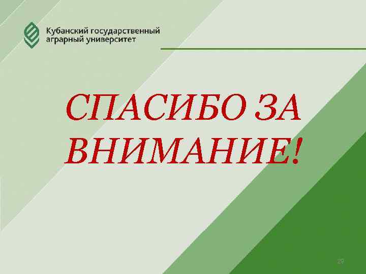 СПАСИБО ЗА ВНИМАНИЕ! 29 