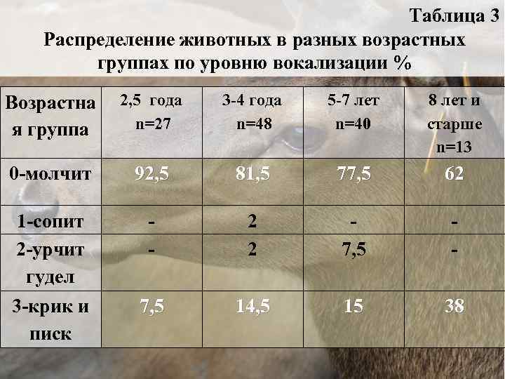 Таблица 3 Распределение животных в разных возрастных группах по уровню вокализации % Возрастна я