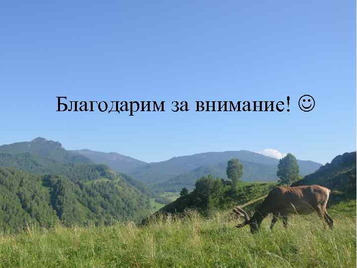 Благодарим за внимание! 