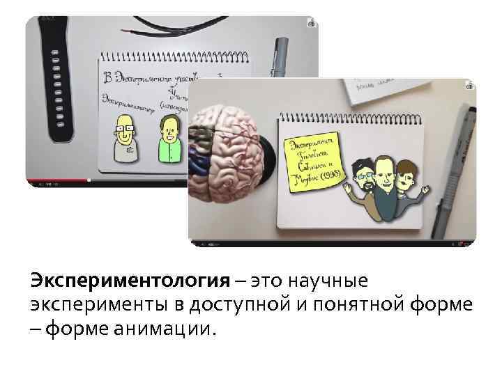 Экспериментология – это научные эксперименты в доступной и понятной форме – форме анимации. 