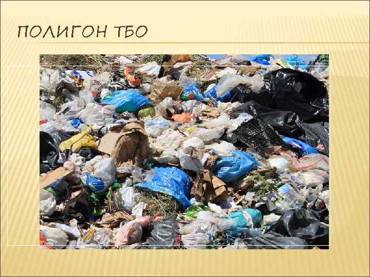 ПОЛИГОН ТБО 