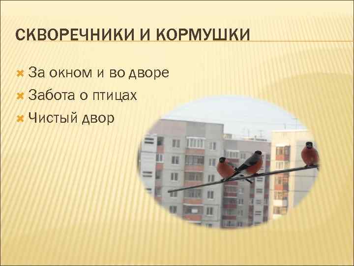 СКВОРЕЧНИКИ И КОРМУШКИ За окном и во дворе Забота о птицах Чистый двор 
