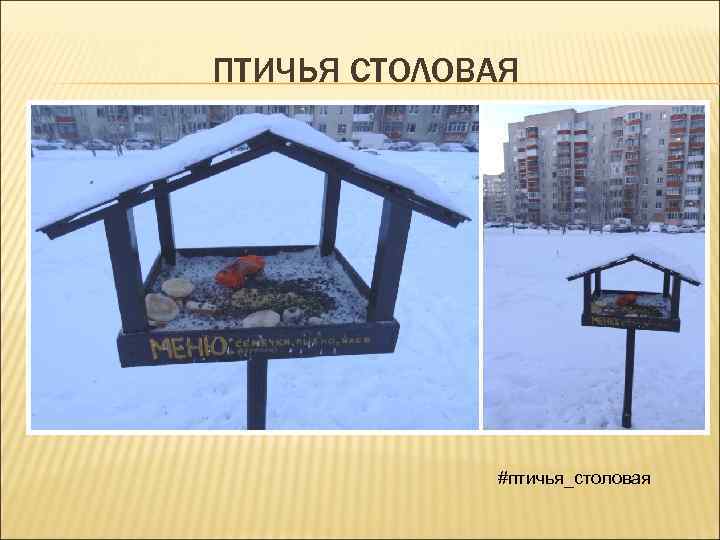 ПТИЧЬЯ СТОЛОВАЯ #птичья_столовая 