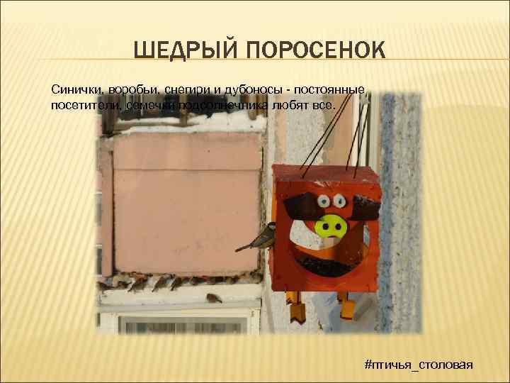 ШЕДРЫЙ ПОРОСЕНОК Синички, воробьи, снегири и дубоносы - постоянные посетители, семечки подсолнечника любят все.