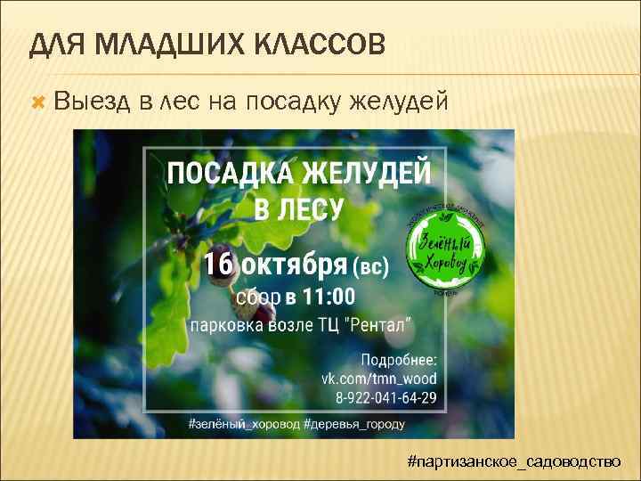 ДЛЯ МЛАДШИХ КЛАССОВ Выезд в лес на посадку желудей #партизанское_садоводство 