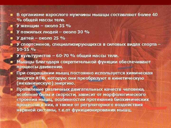 n n n n n В организме взрослого мужчины мышцы составляют более 40 %