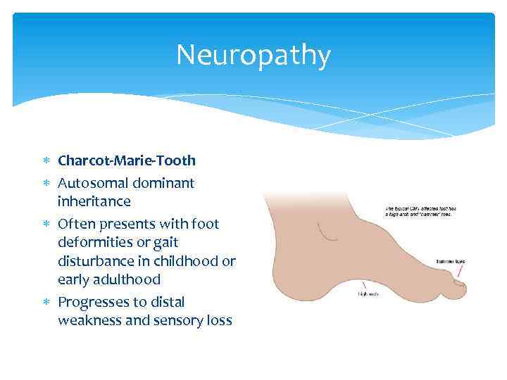 Neuropathy Charcot-Marie-Tooth Autosomal dominant inheritance Often presents with foot deformities or gait disturbance in