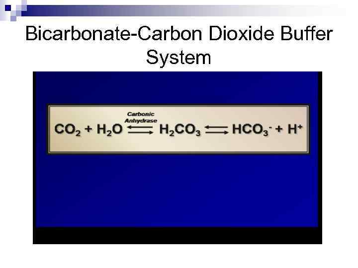 Bicarbonate-Carbon Dioxide Buffer System 