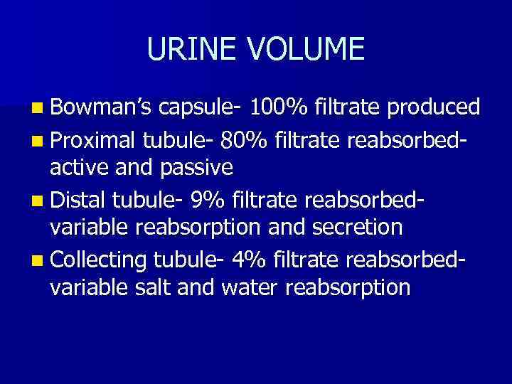 URINE VOLUME n Bowman’s capsule- 100% filtrate produced n Proximal tubule- 80% filtrate reabsorbedactive