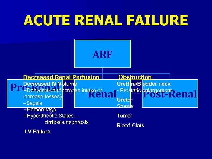 ACUTE RENAL FAILURE ARF Decreased Renal Perfusion Pre-Renal Decreased IV Volume --Dehydration (decrease intake