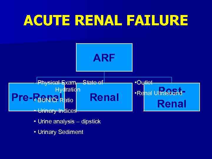 ACUTE RENAL FAILURE ARF • Physical Exam – State of Hydration Pre-Renal • BUN/Cr