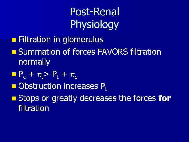 Post-Renal Physiology n Filtration in glomerulus n Summation of forces FAVORS filtration normally n