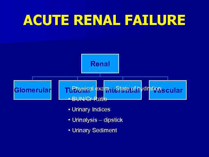 ACUTE RENAL FAILURE Renal Glomerular • Physical Tubular exam – State of hydration Interstitial