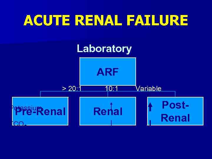 ACUTE RENAL FAILURE Laboratory ARF BUN/Cr Ratio Potassium > 20: 1 Pre-Renal TCO 2