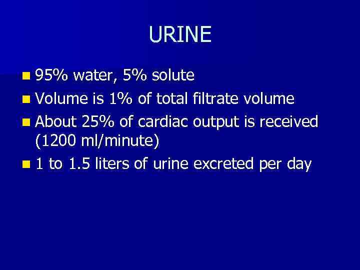 URINE n 95% water, 5% solute n Volume is 1% of total filtrate volume