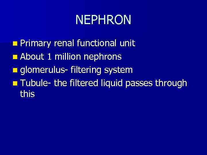 NEPHRON n Primary renal functional unit n About 1 million nephrons n glomerulus- filtering