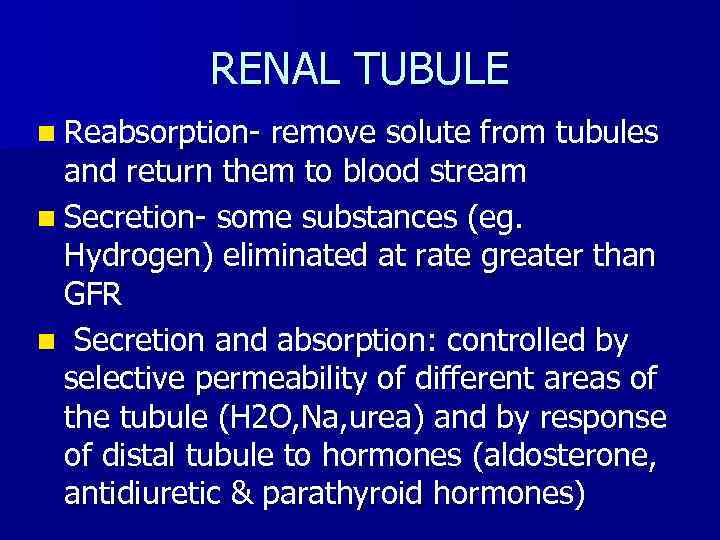 RENAL TUBULE n Reabsorption- remove solute from tubules and return them to blood stream