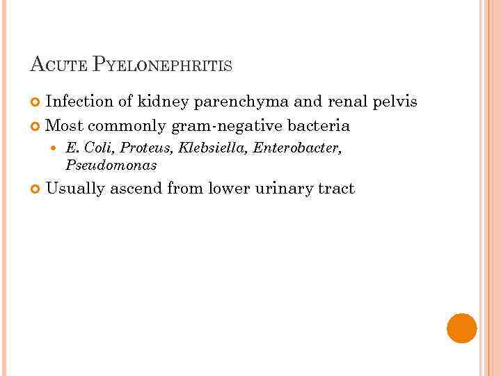 ACUTE PYELONEPHRITIS Infection of kidney parenchyma and renal pelvis Most commonly gram-negative bacteria E.