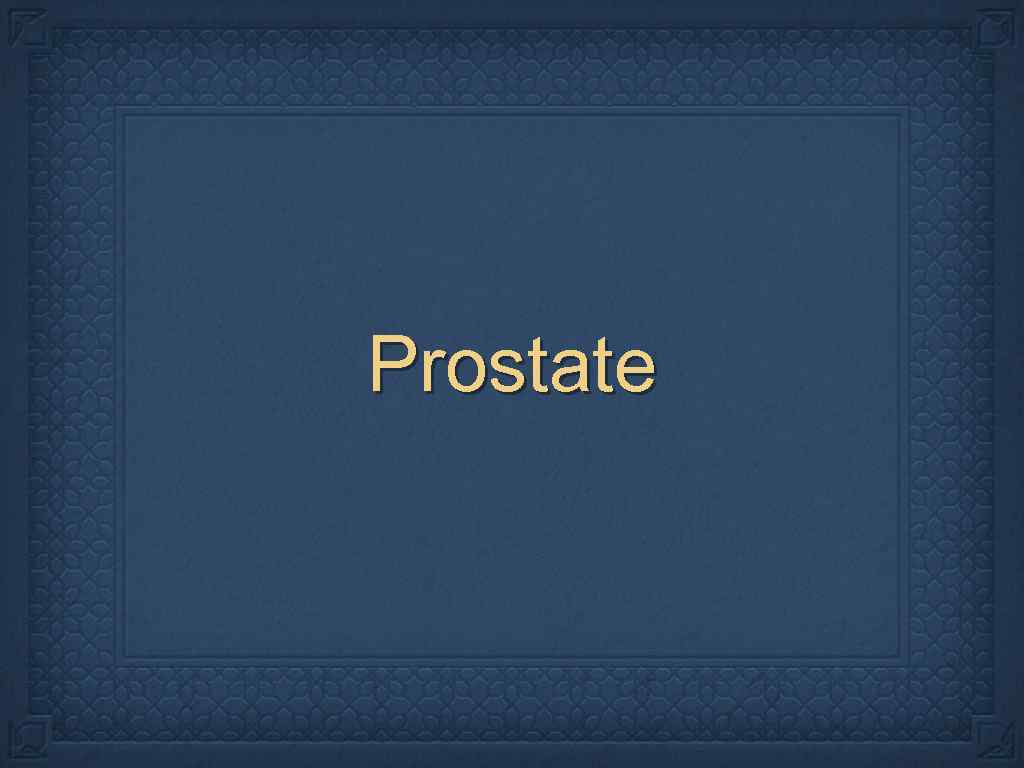 Prostate 