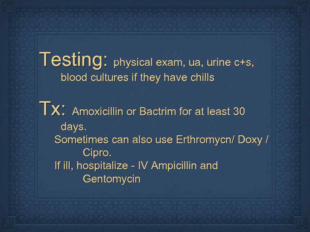 Testing: physical exam, ua, urine c+s, blood cultures if they have chills Tx: Amoxicillin