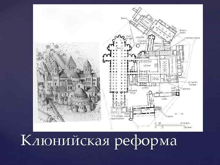 Клюнийская реформа 