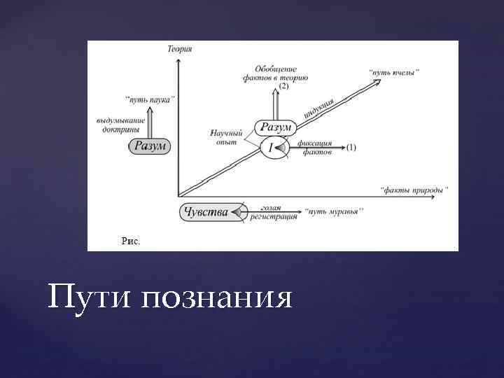 Пути познания 